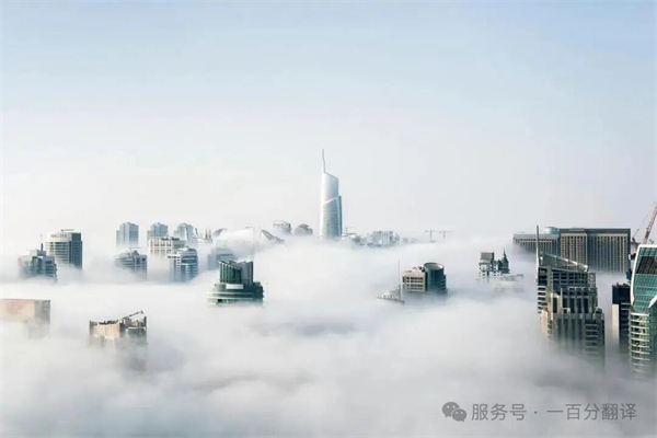 中外標準咨詢服務